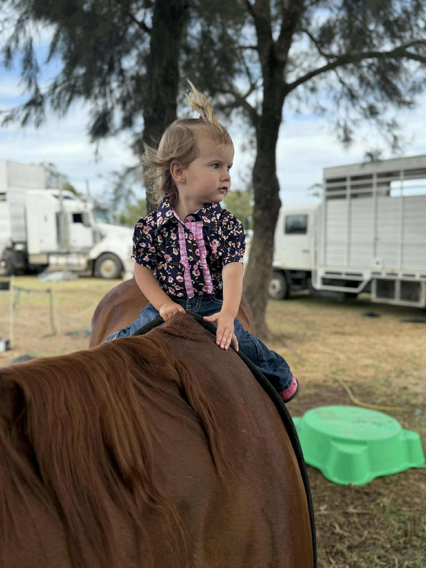 Harlo Navy Floral Short Sleeve Romper