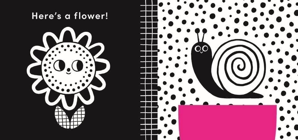 Cuddly Ladybug Cloth Book