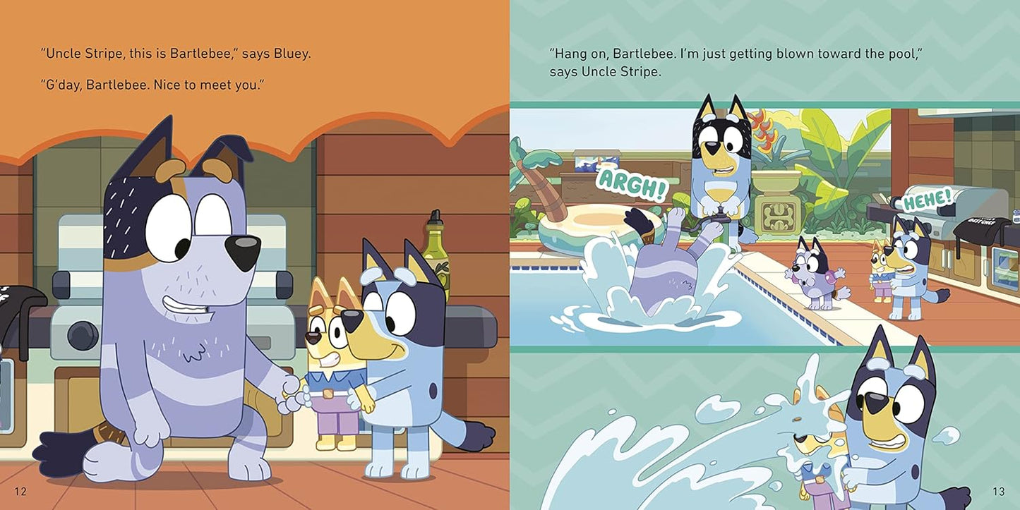 Bluey: Christmas Swim