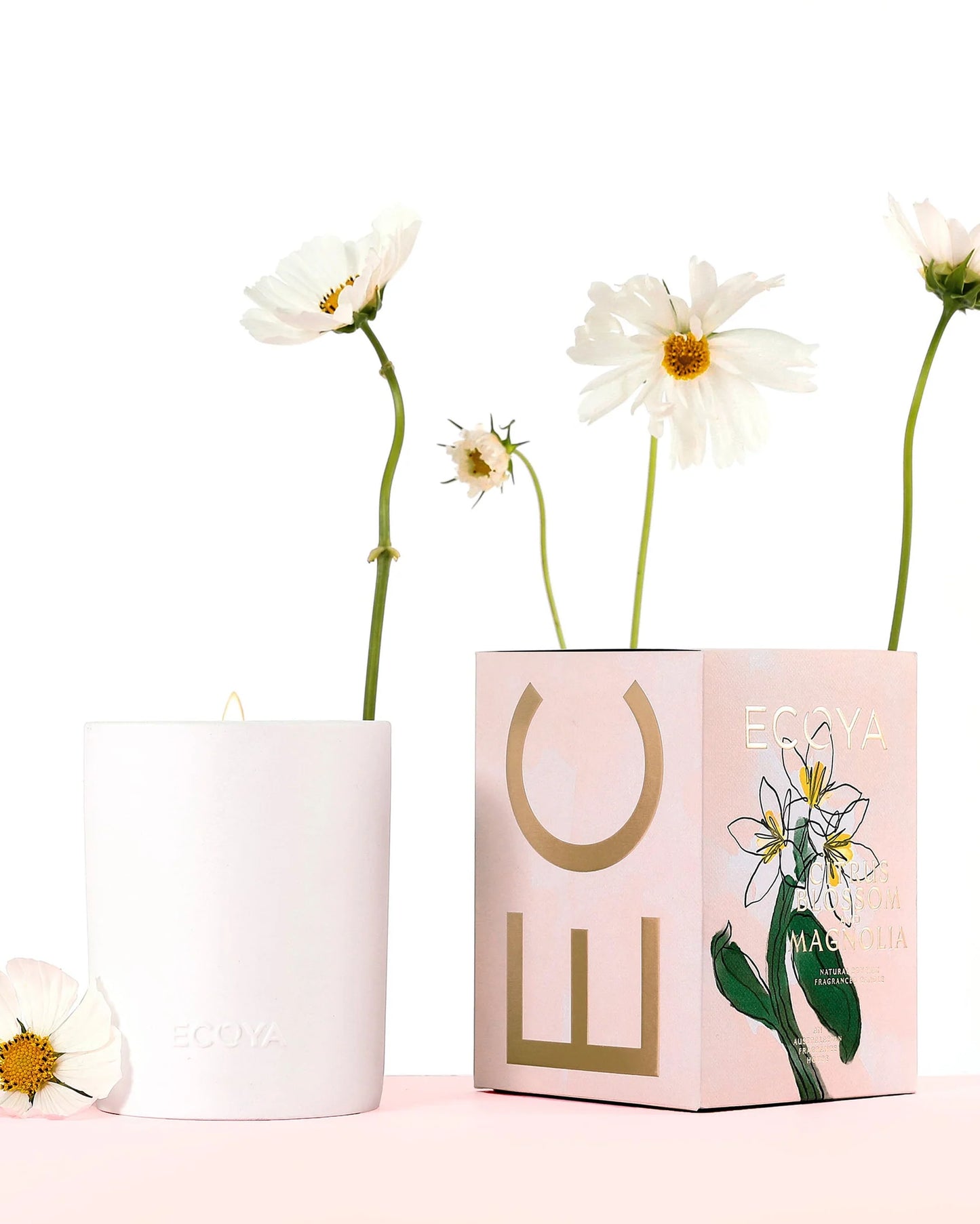 Citrus Blossom & Magnolia Ceramic Candle