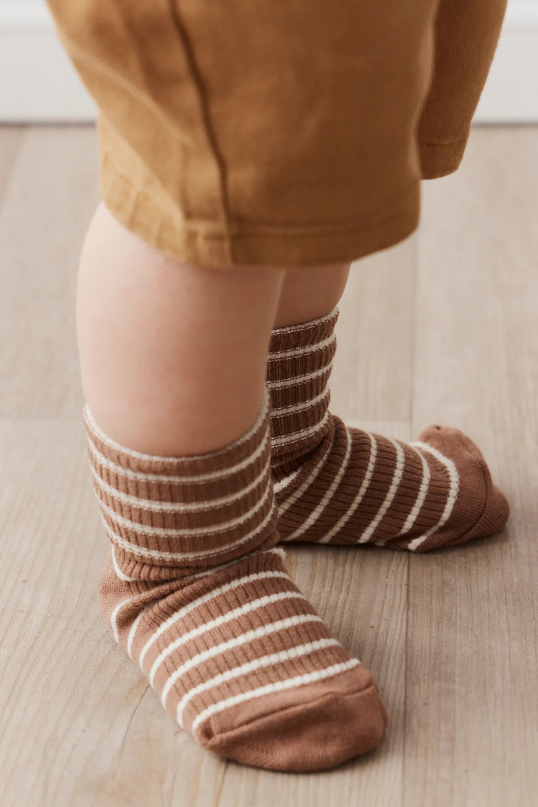 Classic Rib Sock - Hazelnut Stripe