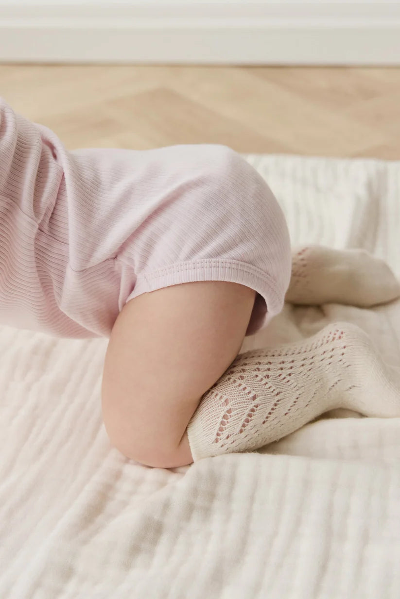 Organic Cotton Modal Darcy Rib Tee Bodysuit - Cassia