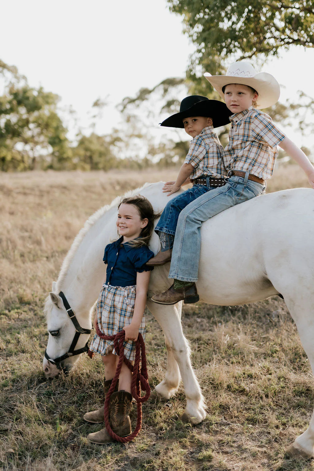 Austin Checked Tan Short Sleeve Shirt