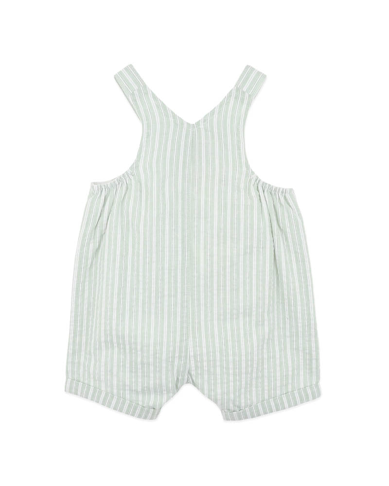 Evan Green Stripe Overalls