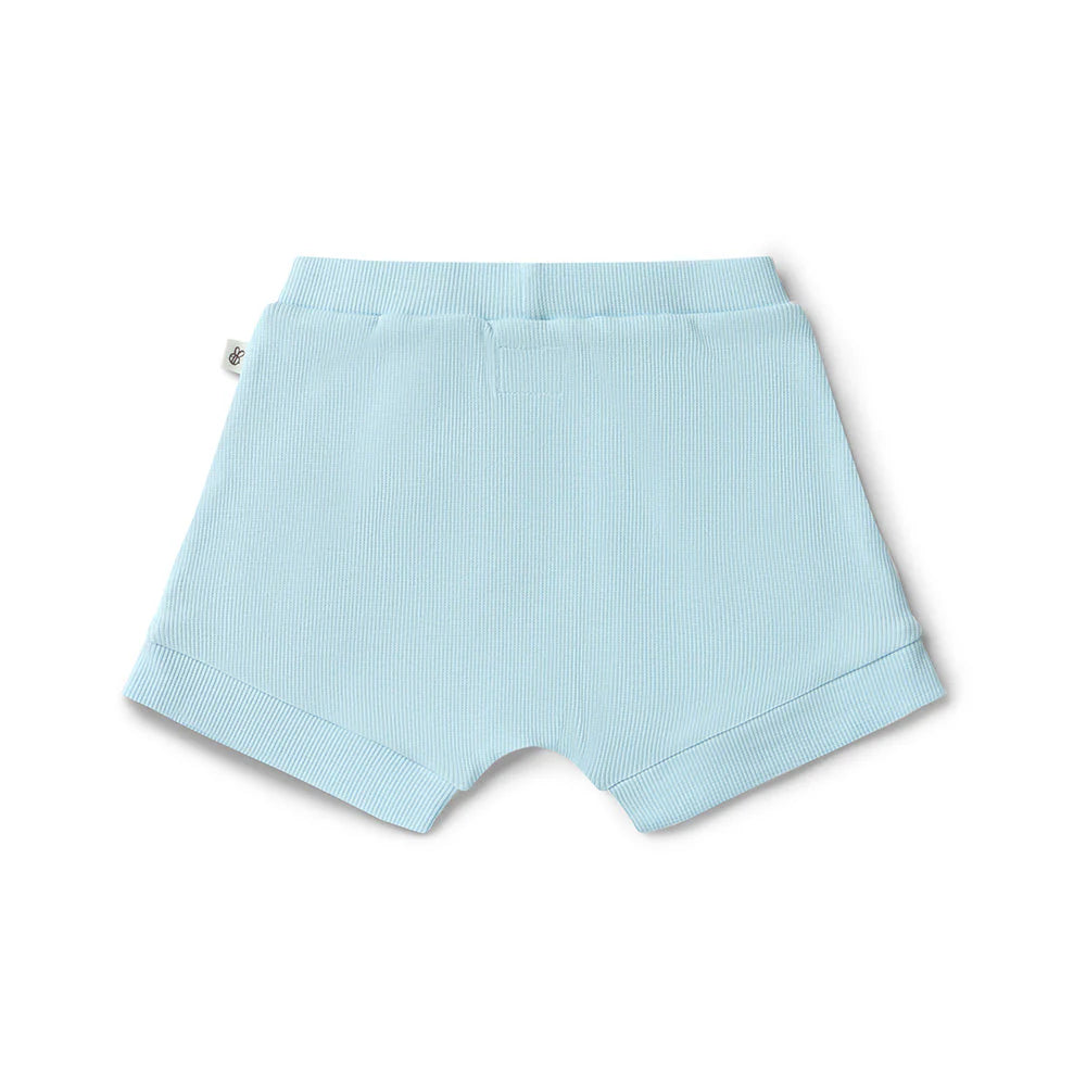 Baby Blue Shorts