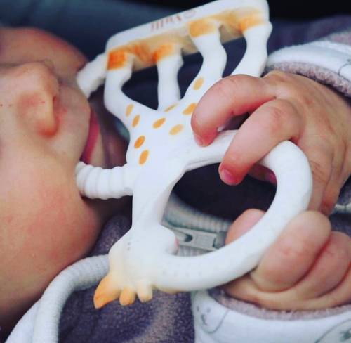 Sophie Teething Ring Soft
