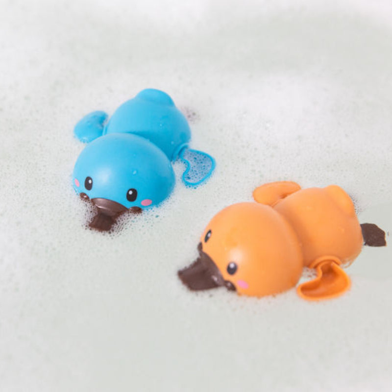 Bath Racers Platypuses