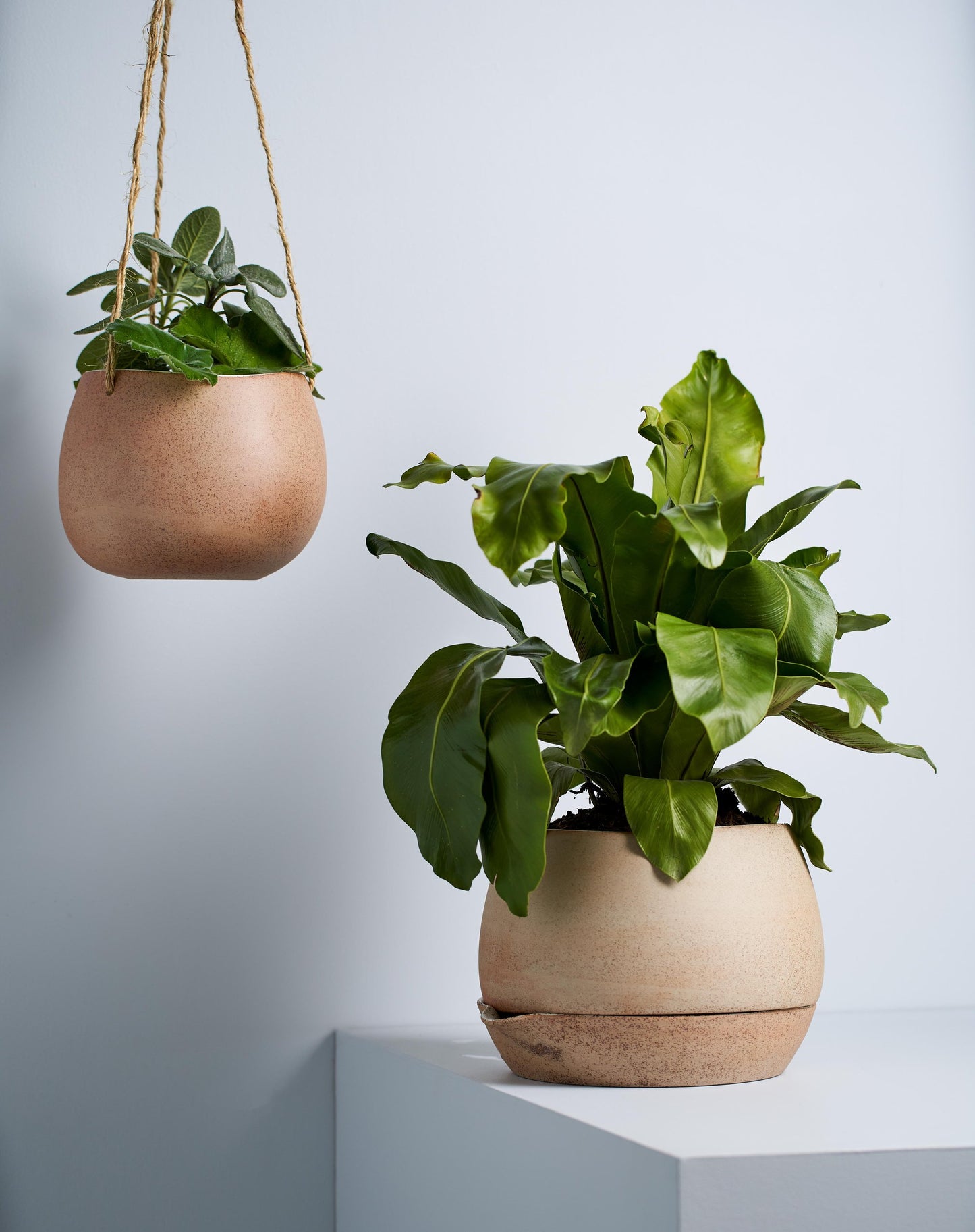 Hanging Planter Small Garden To Table
