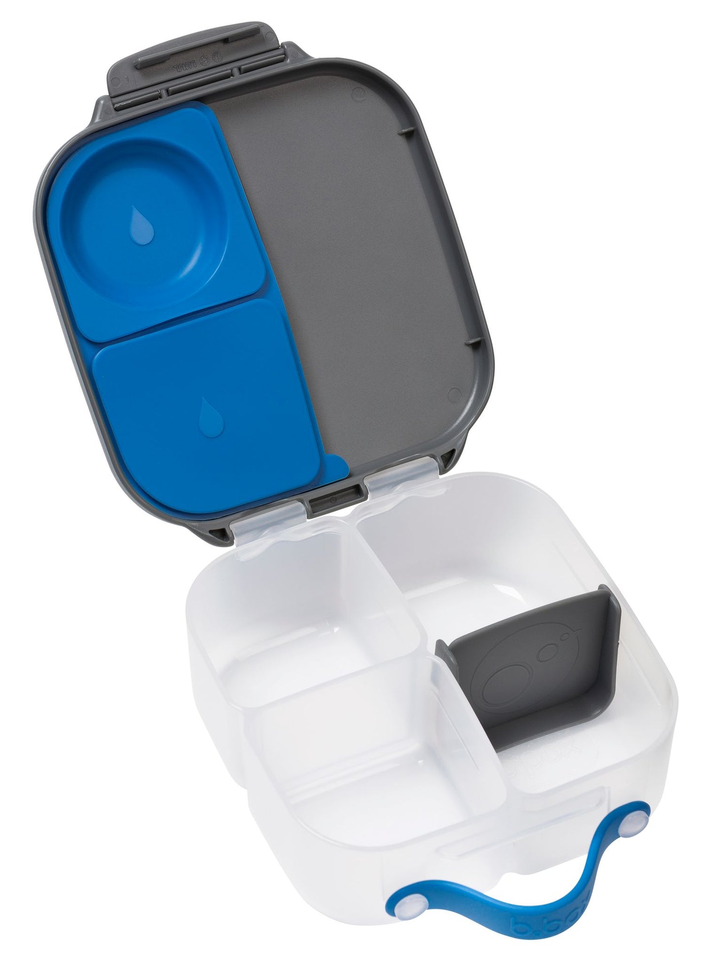 Mini Lunchbox Ocean Breeze