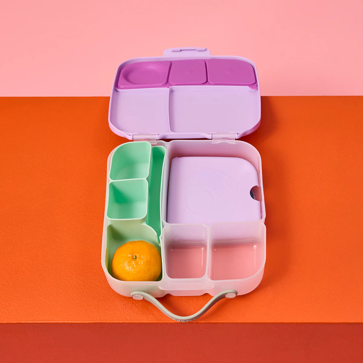 Silicone Bento Tray Lunch Forest
