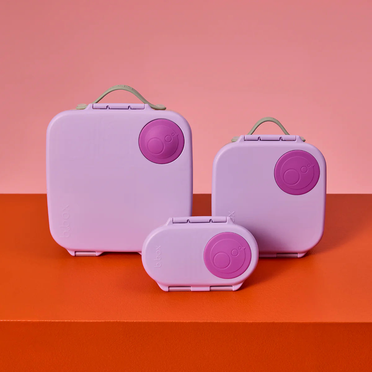 Snackbox Sugar Plum