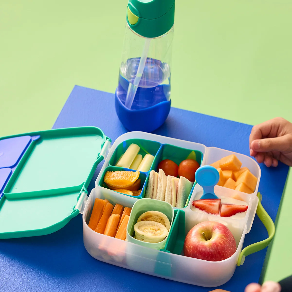 Lunchbox Electric Jungle