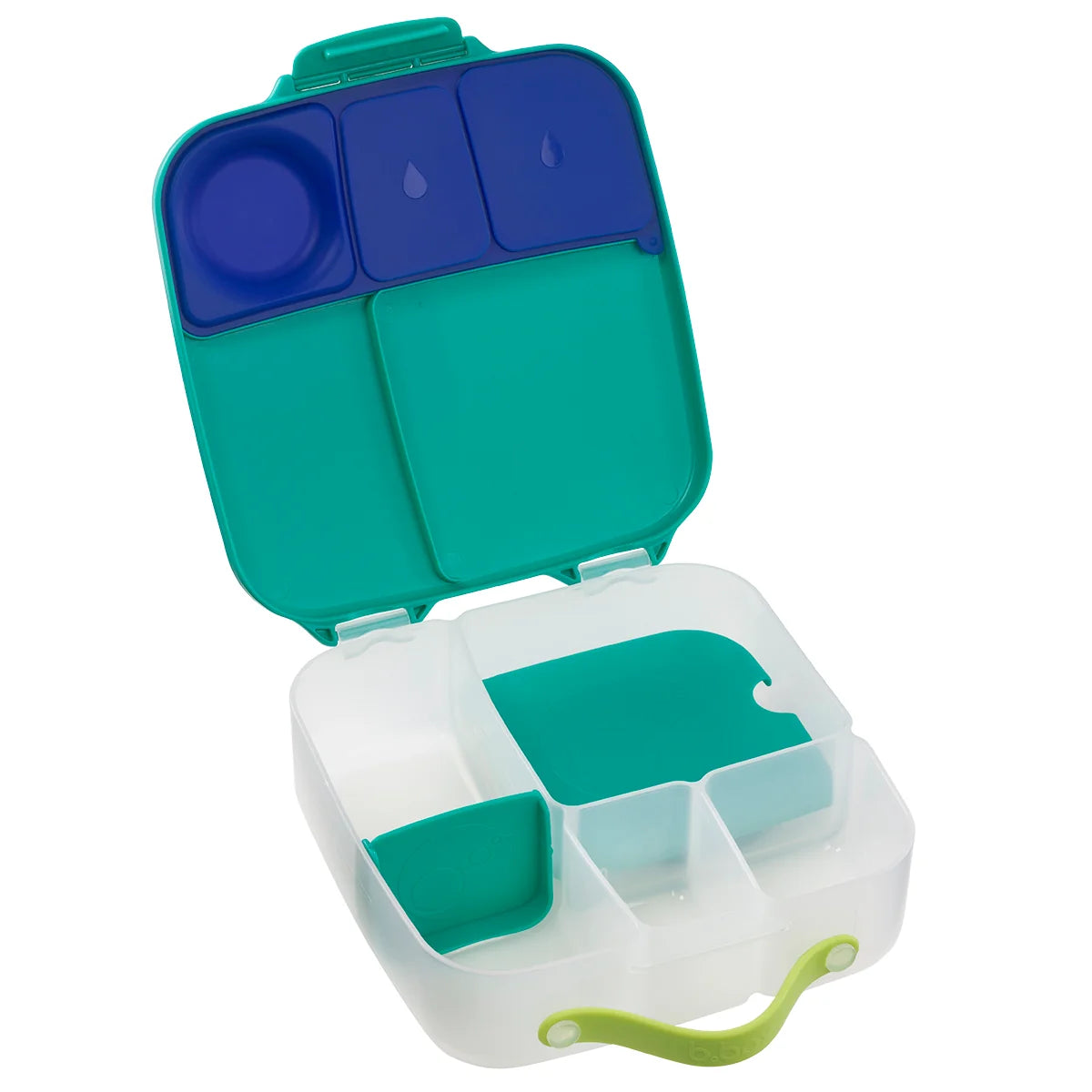 Lunchbox Electric Jungle