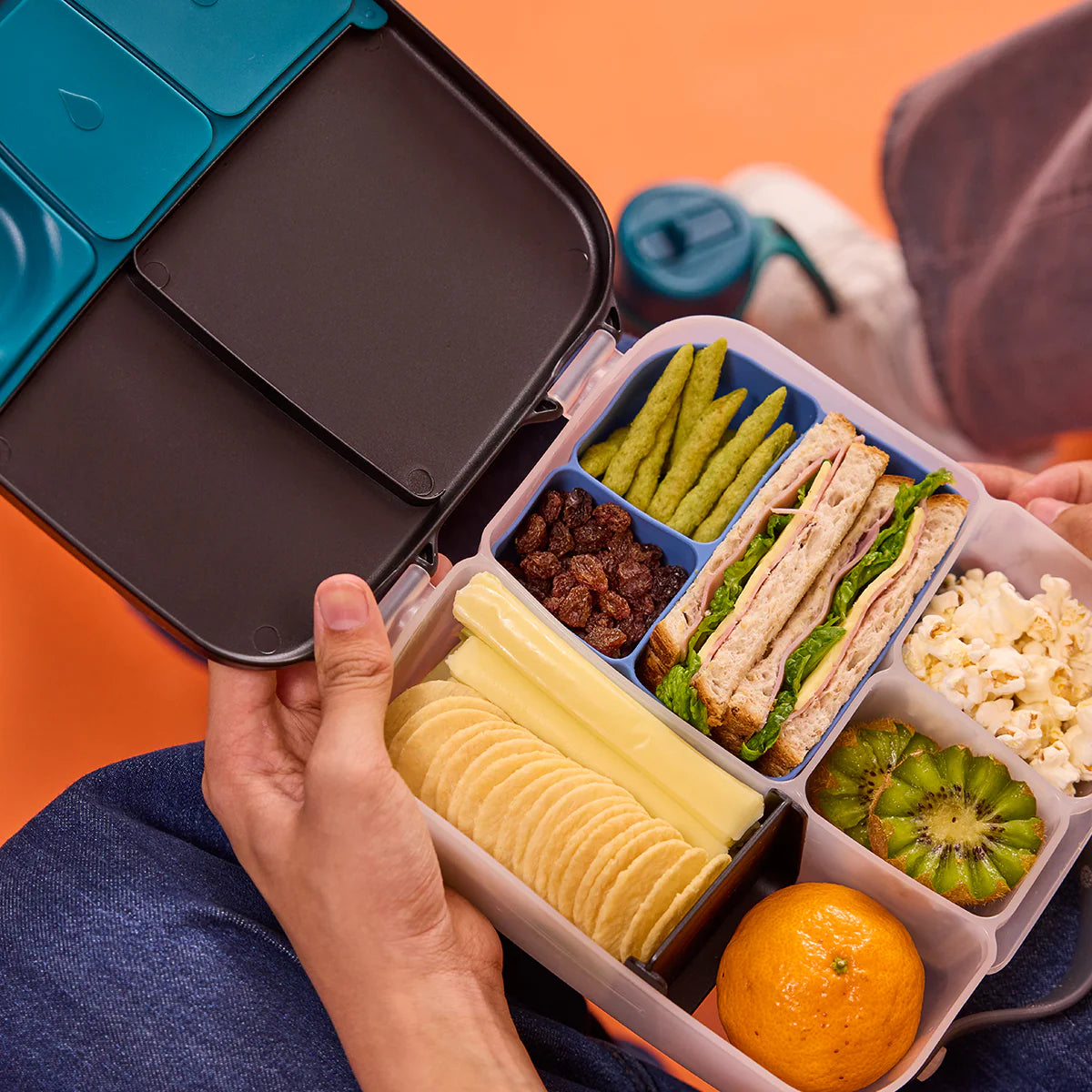 Silicone Bento Buddy Lunch Ocean