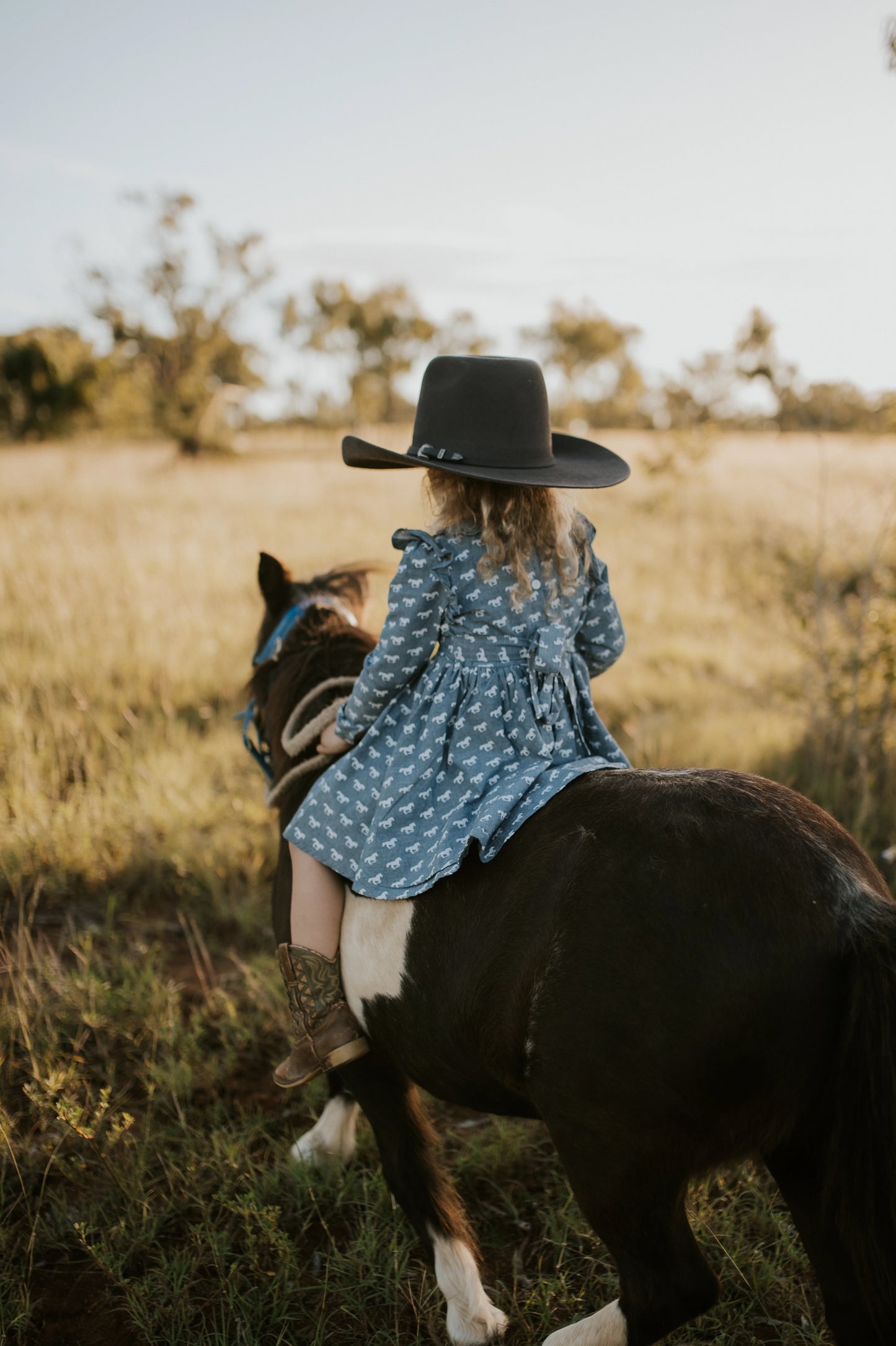 Josephine Horse Print Denim Look Dress