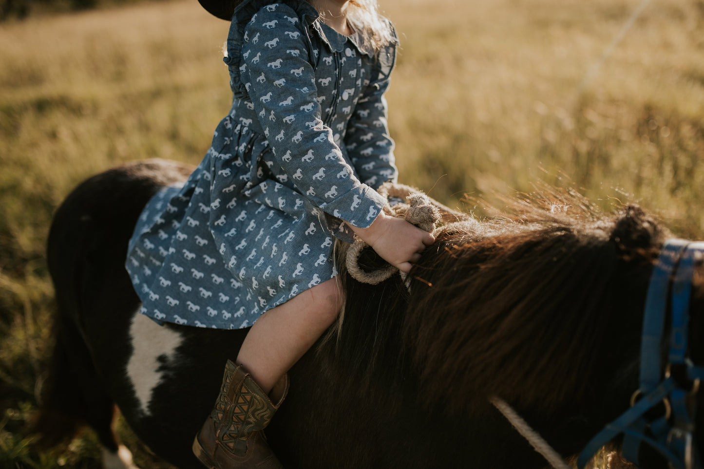 Josephine Horse Print Denim Look Dress