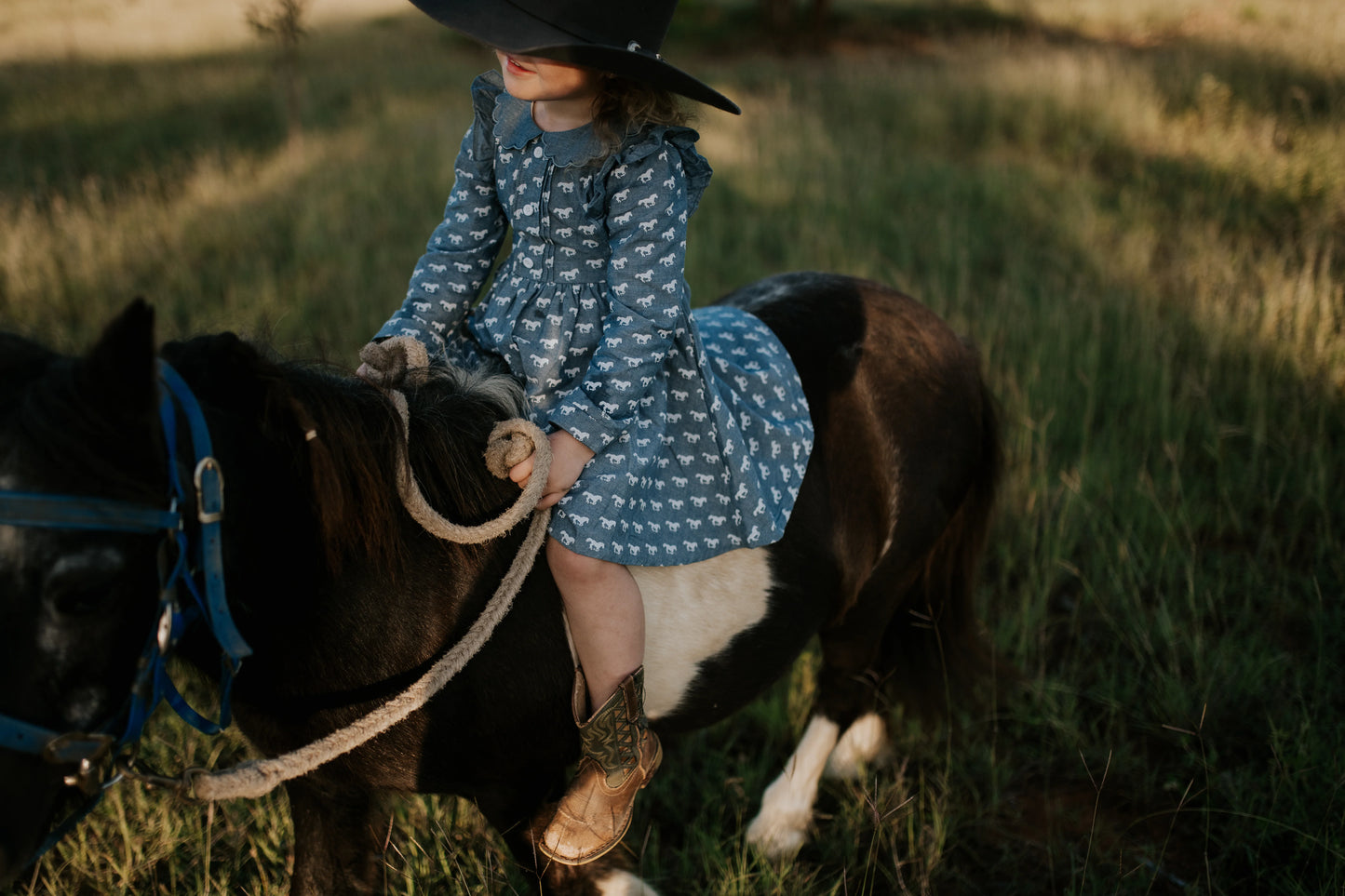 Josephine Horse Print Denim Look Dress