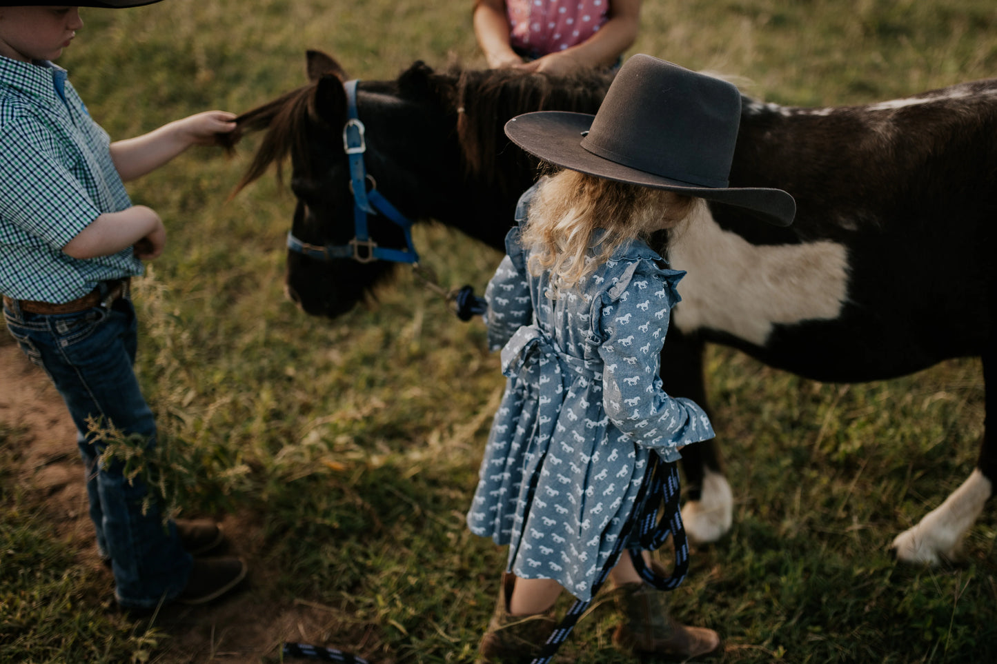 Josephine Horse Print Denim Look Dress