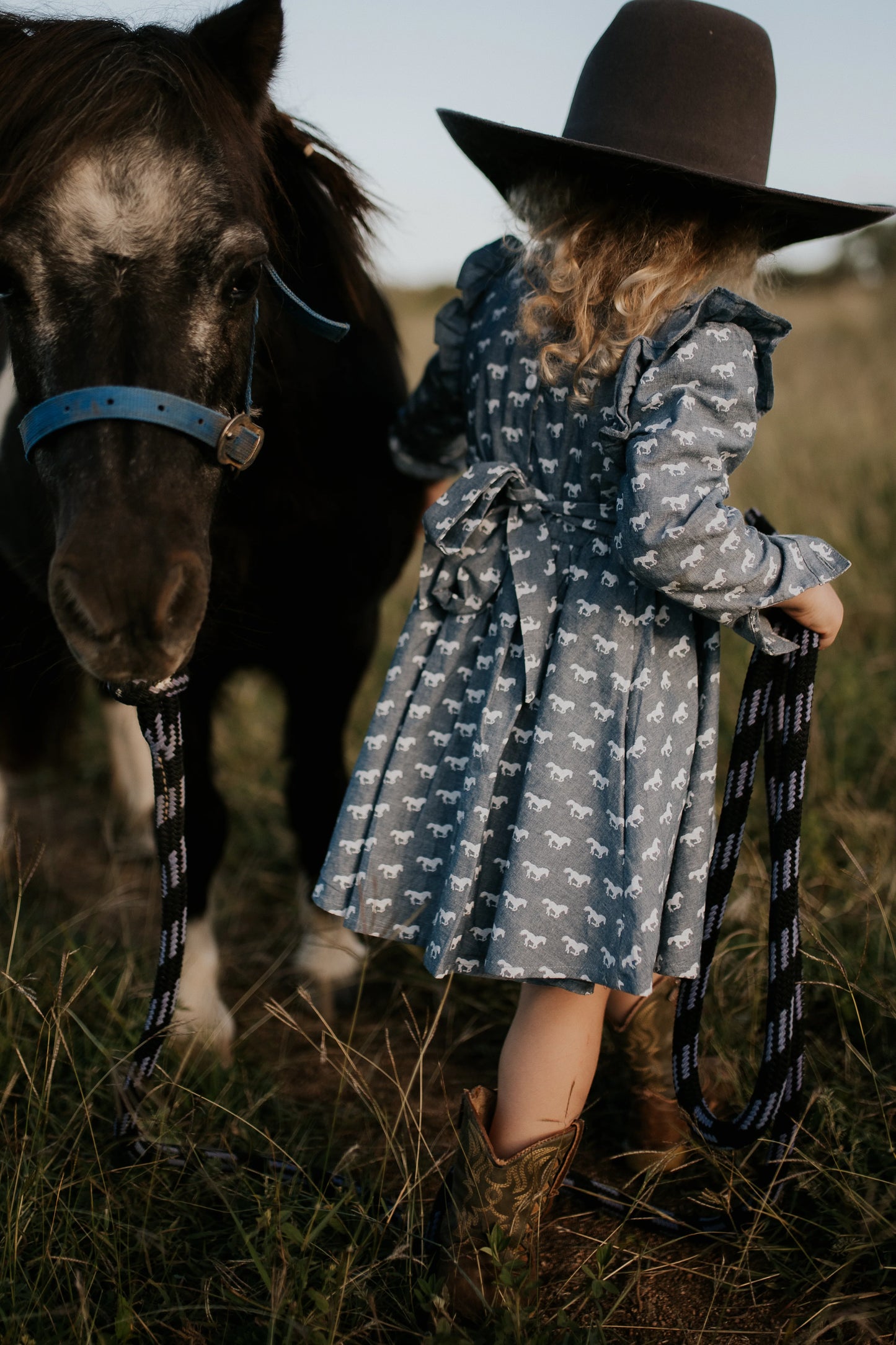 Josephine Horse Print Denim Look Dress
