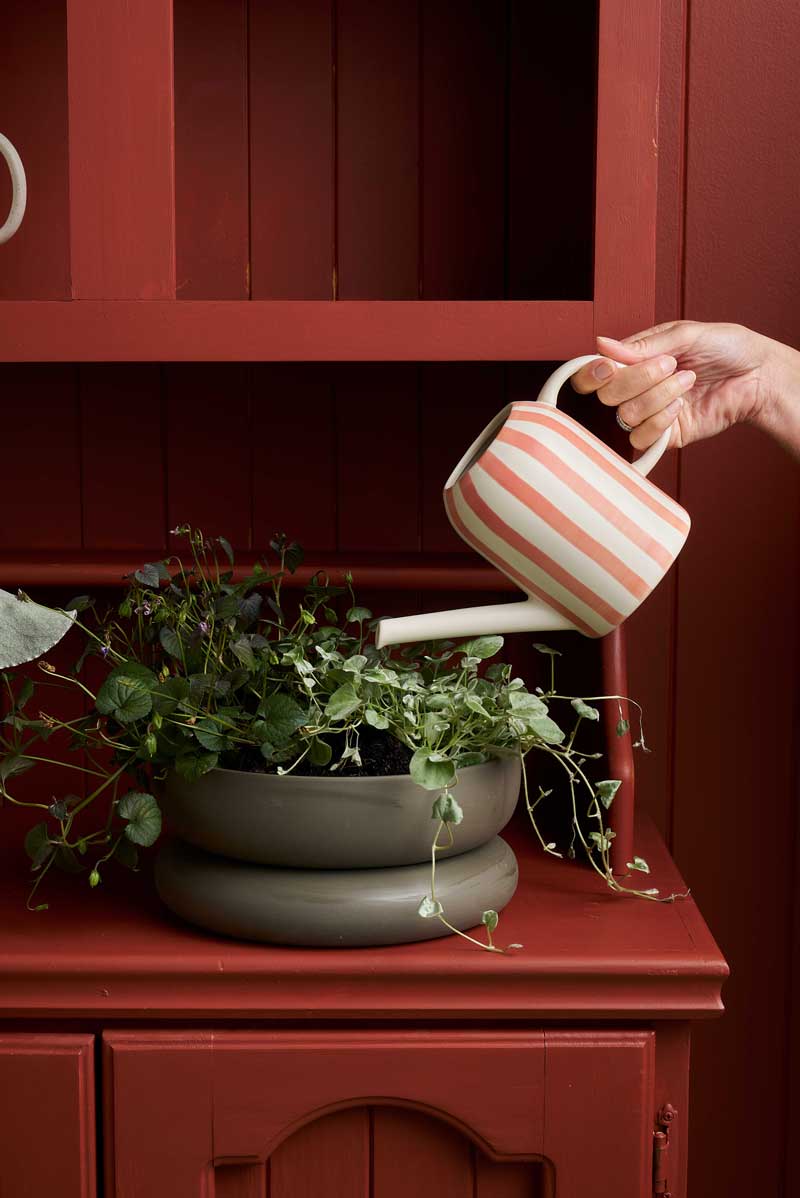 Watering Can Coral Stripe