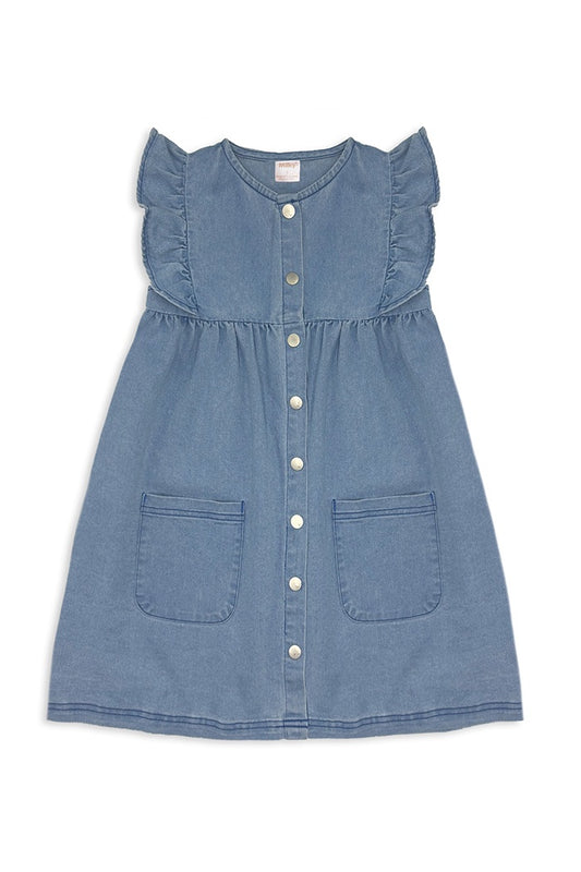 Denim Frill Dress