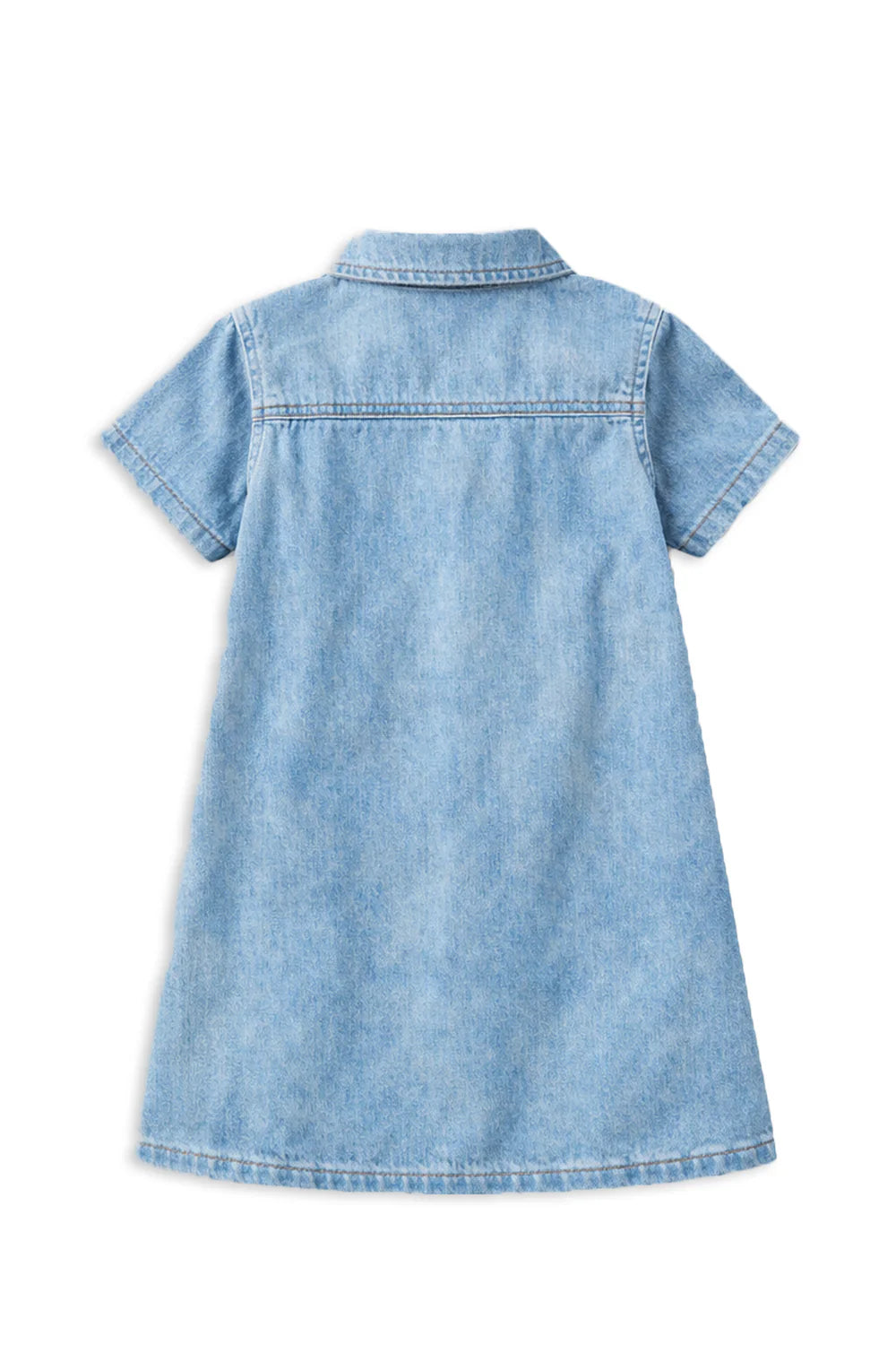 Western Denim Dress