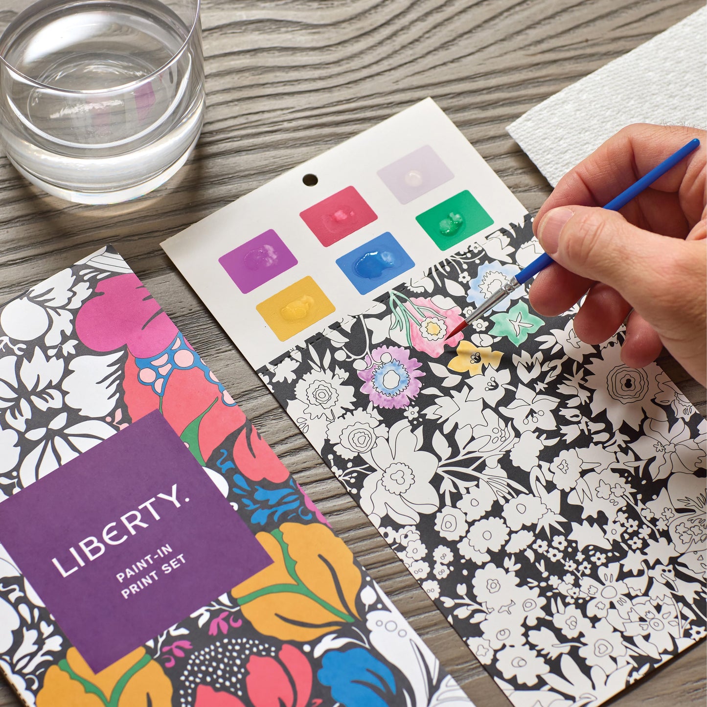 Liberty Paint In Print Set