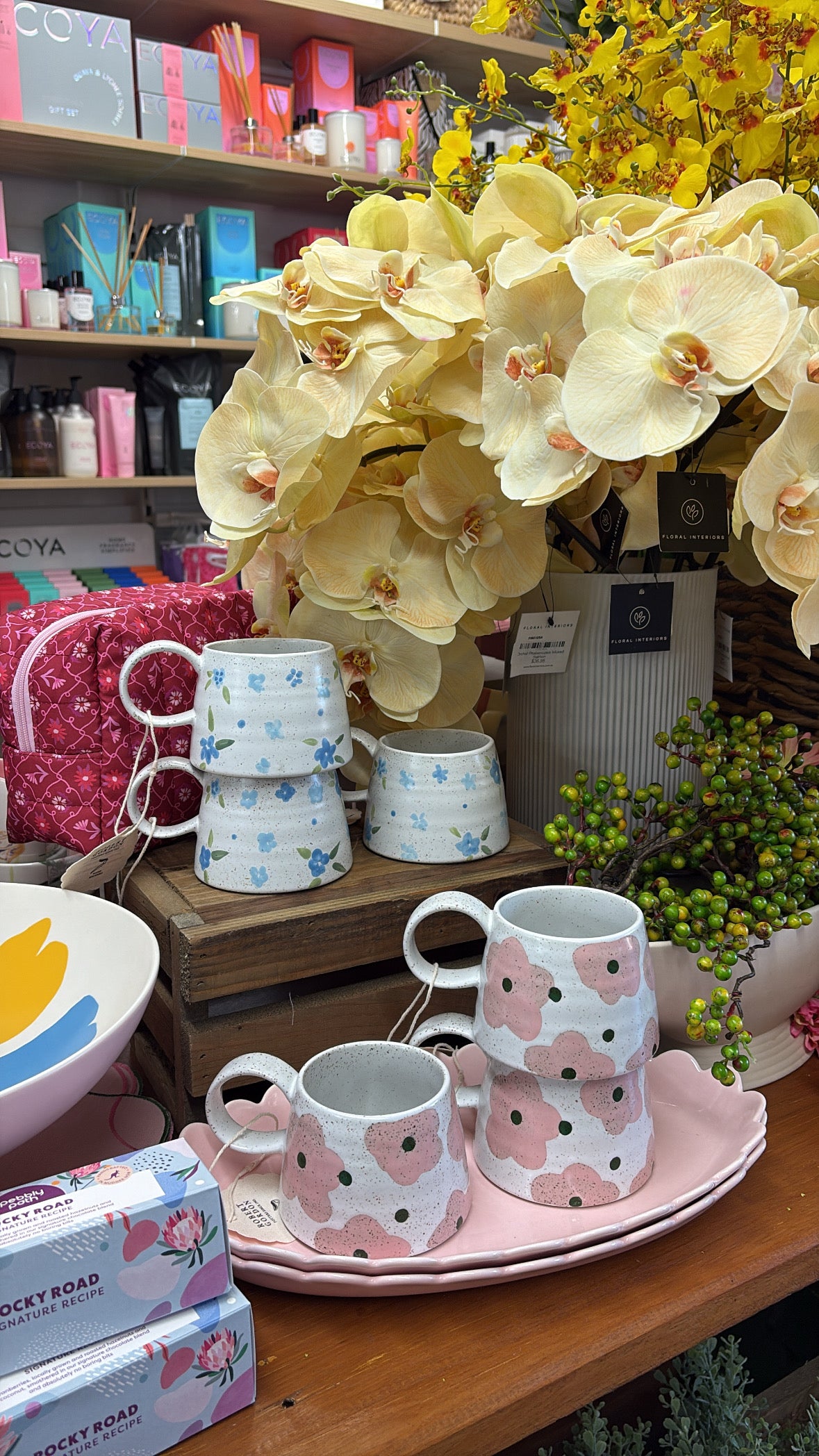 Orchid Phalaenopsis Infused Salmon