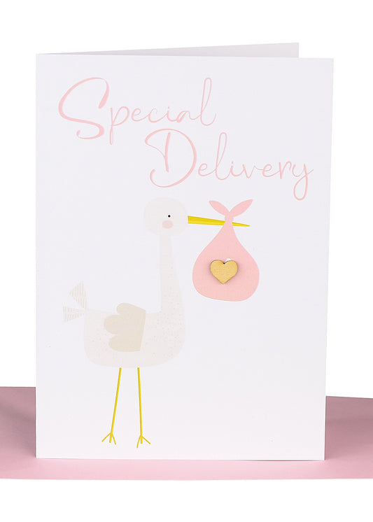 Baby Girl Special Delivery Lrg Card