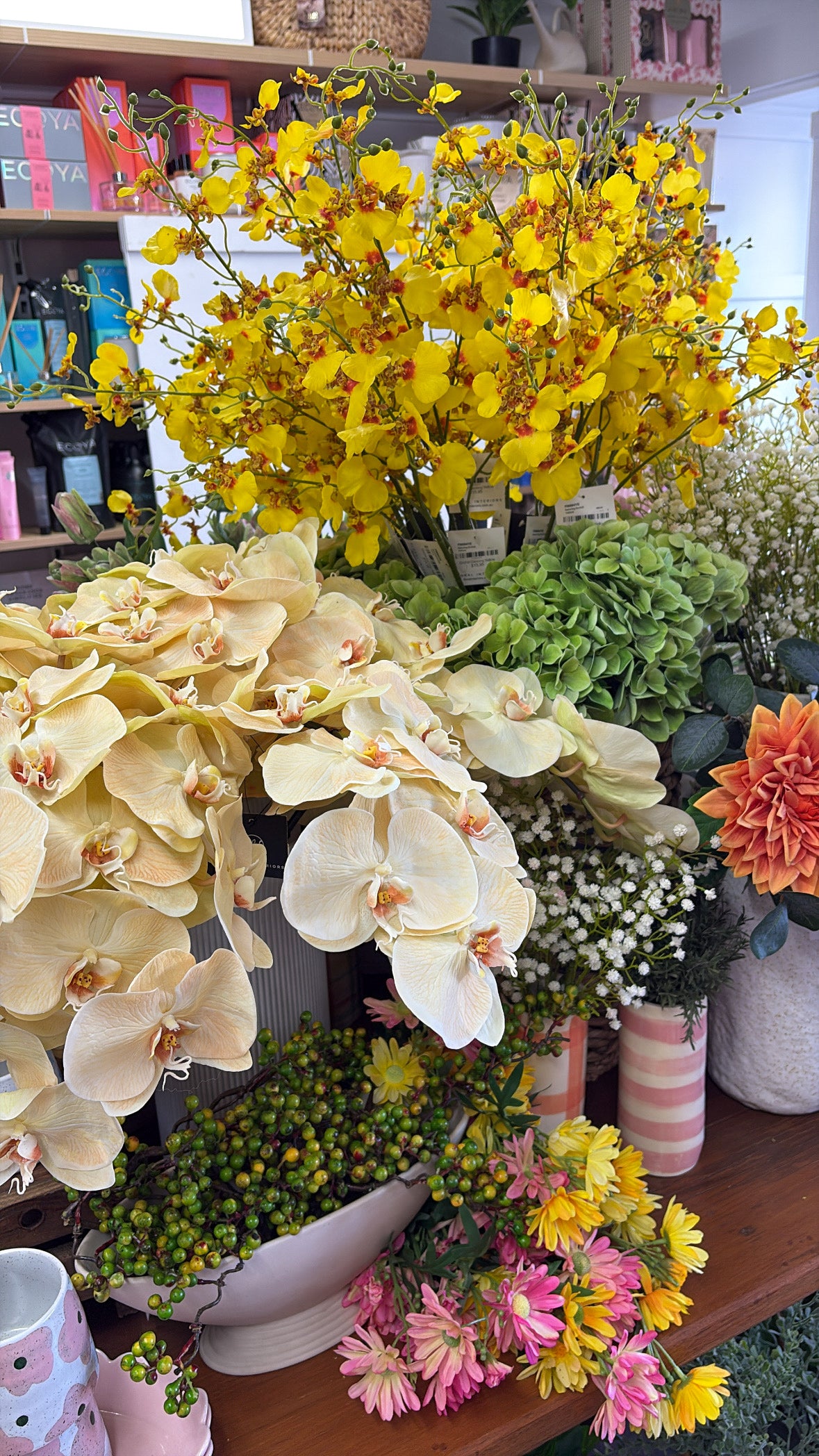 Orchid Phalaenopsis Infused Salmon