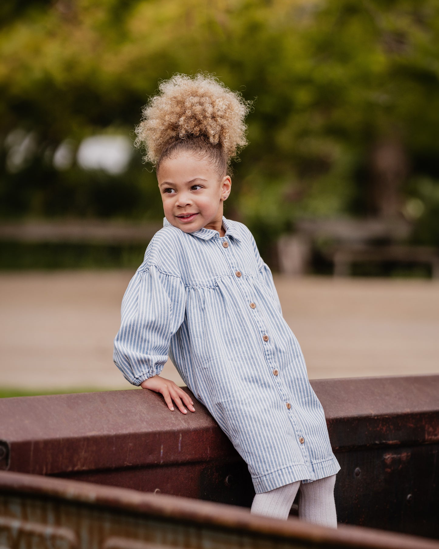 Winter Vacay Stripe Denim Dress