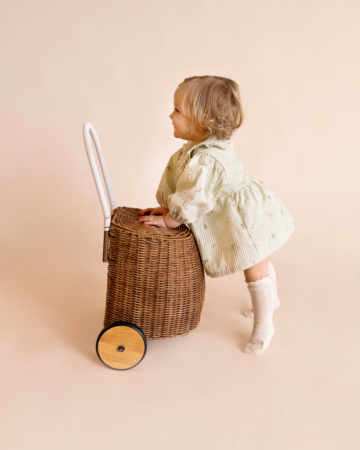 Orchard Bloom Emb. Stripe Overlay Dress