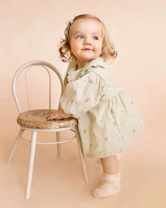 Orchard Bloom Emb. Stripe Overlay Dress