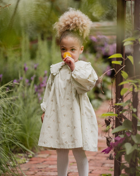 Orchard Bloom Emb. Stripe Dress