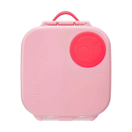 Mini Lunchbox Flamingo Fizz