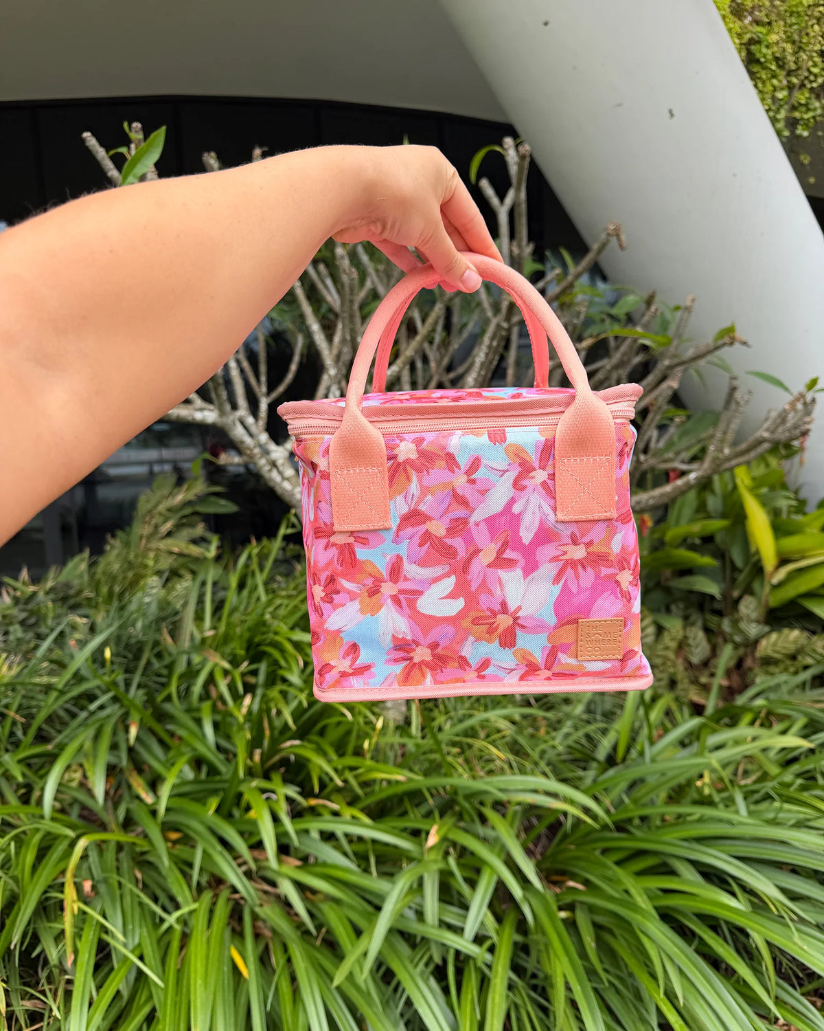 Flor Del Sol The Graze