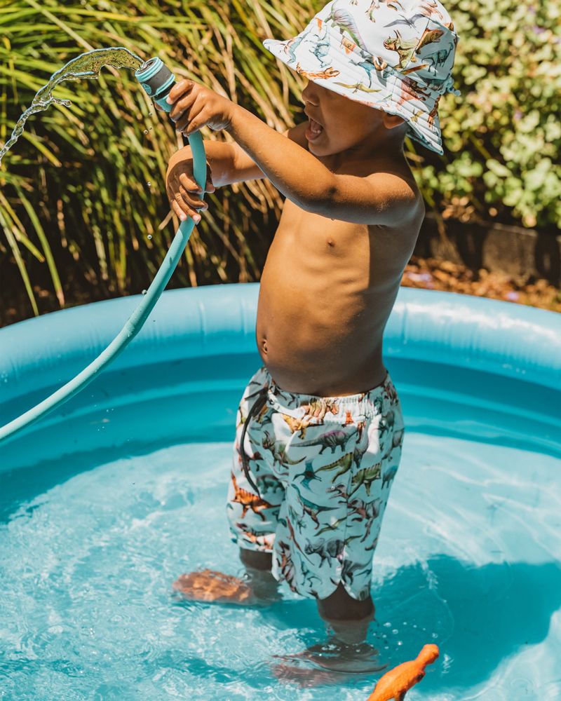 Rex Print Boardshorts