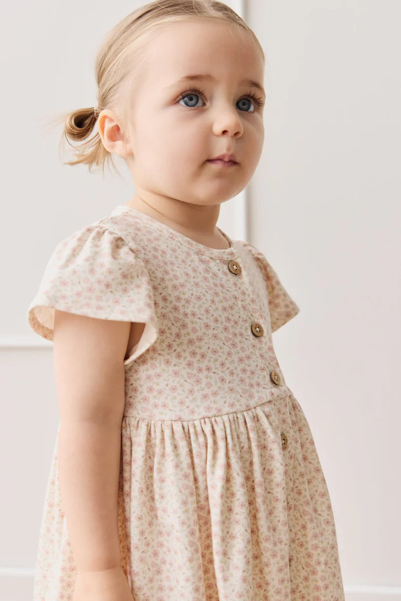 Organic Cotton Dahlia Dress - Penelope Rose Small
