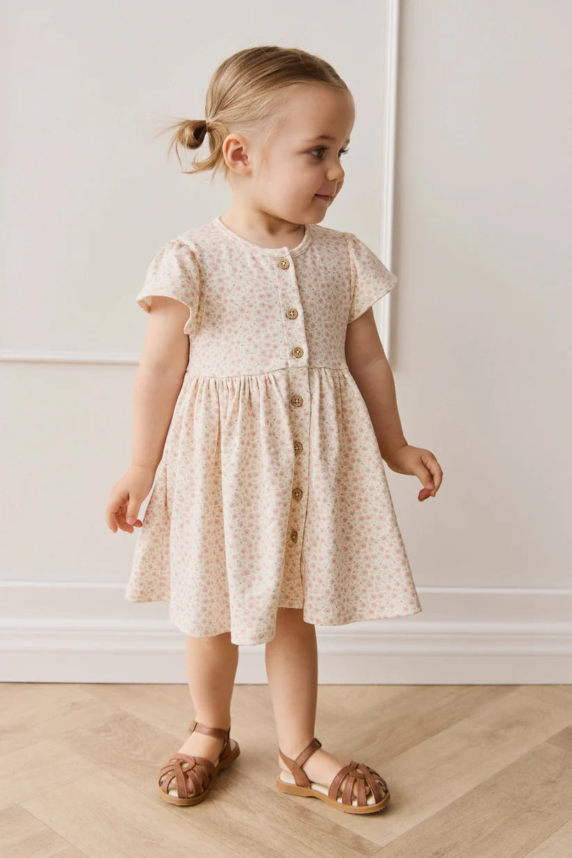 Organic Cotton Dahlia Dress - Penelope Rose Small