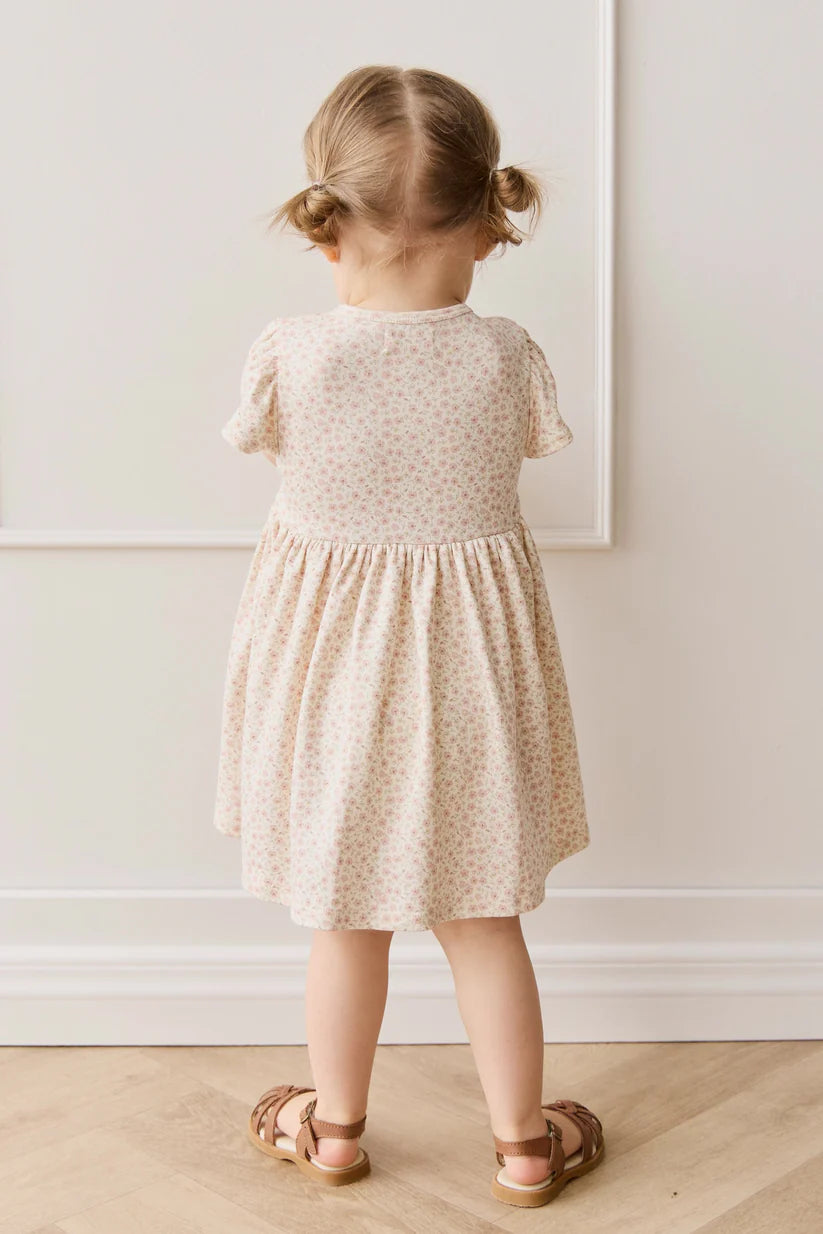 Organic Cotton Dahlia Dress - Penelope Rose Small