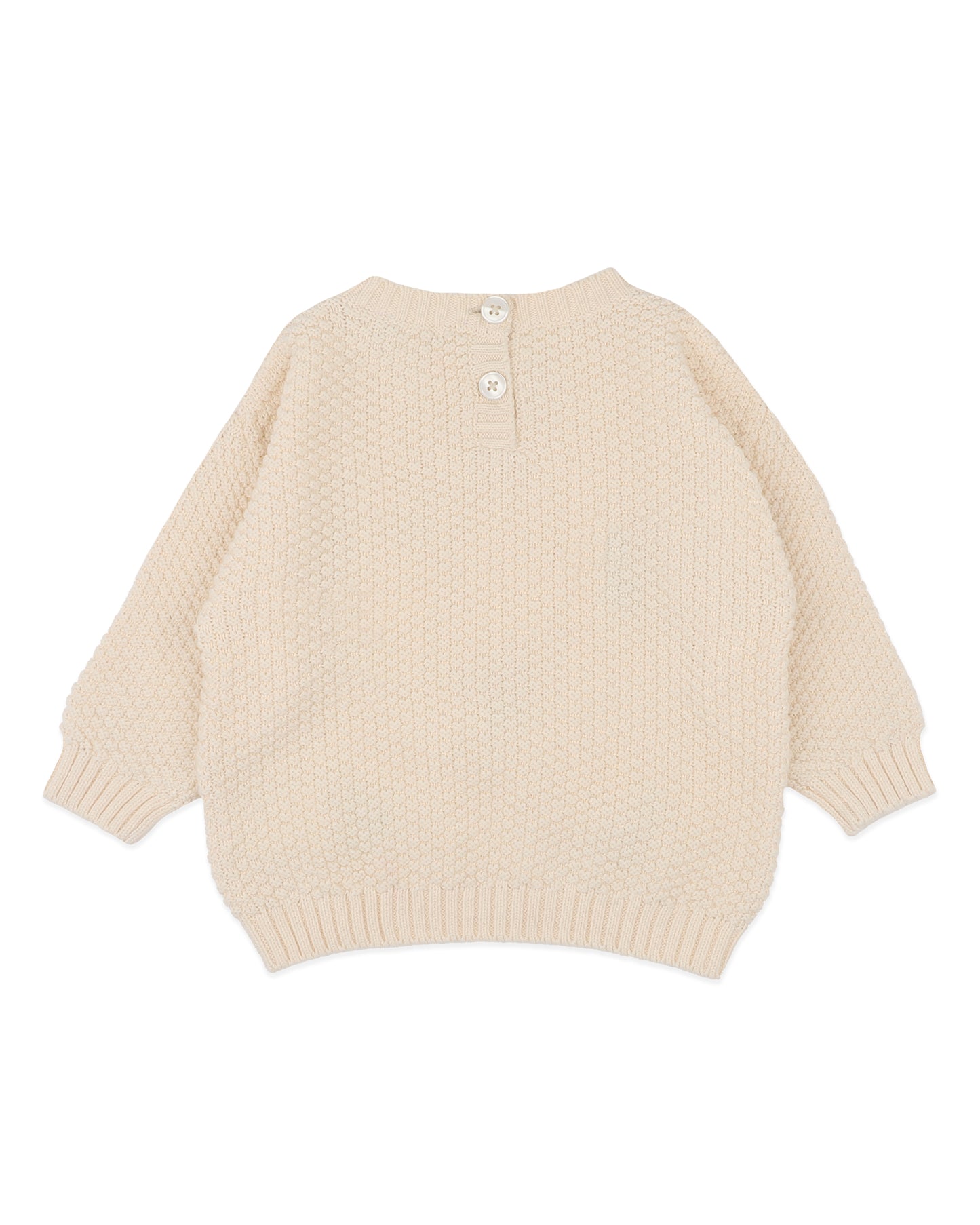 Fern Hand Emb Organic Jumper