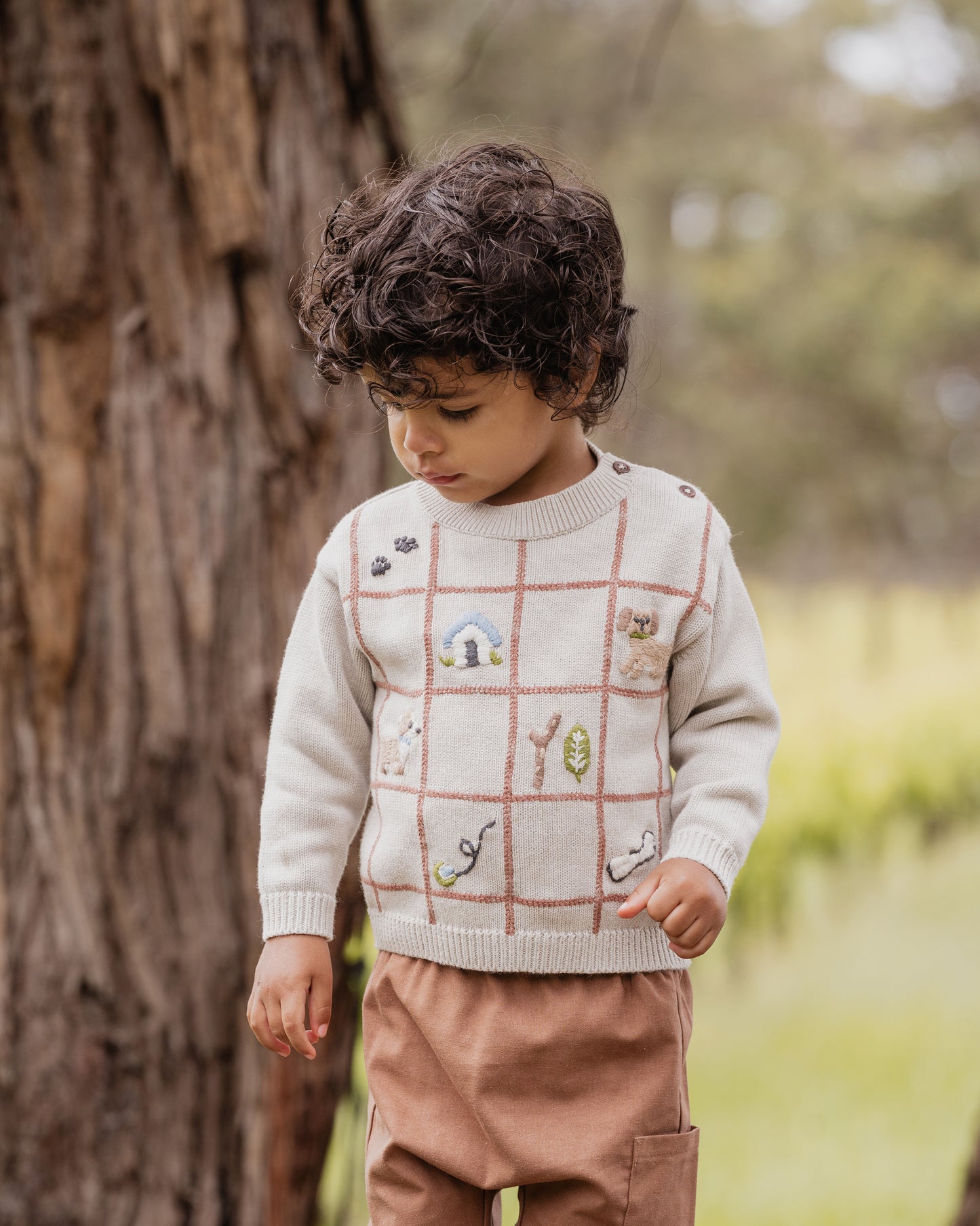 Otto Puppy Grid Organic Knitted Jumper