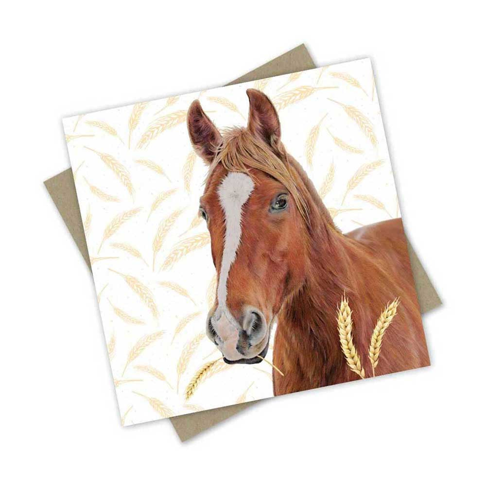 Horsey Horse Farm Card