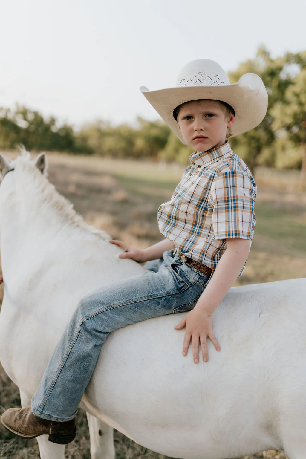 Austin Checked Tan Short Sleeve Shirt