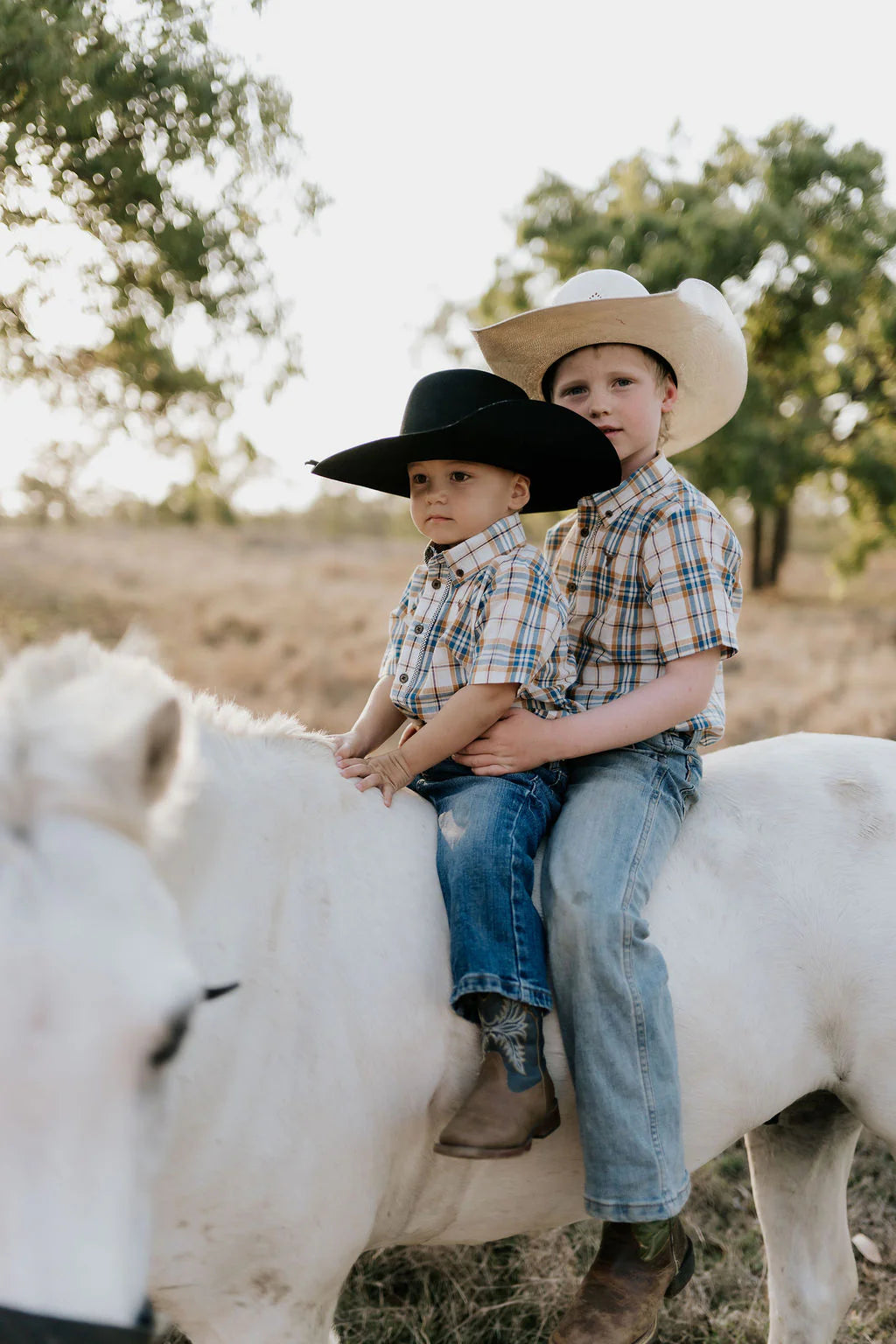 Austin Checked Tan Short Sleeve Shirt
