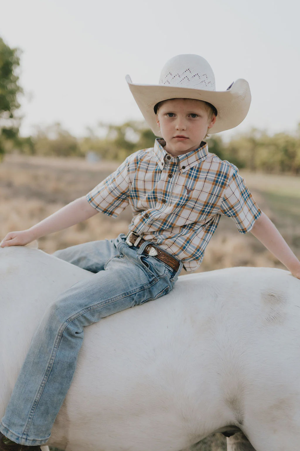 Austin Checked Tan Short Sleeve Shirt