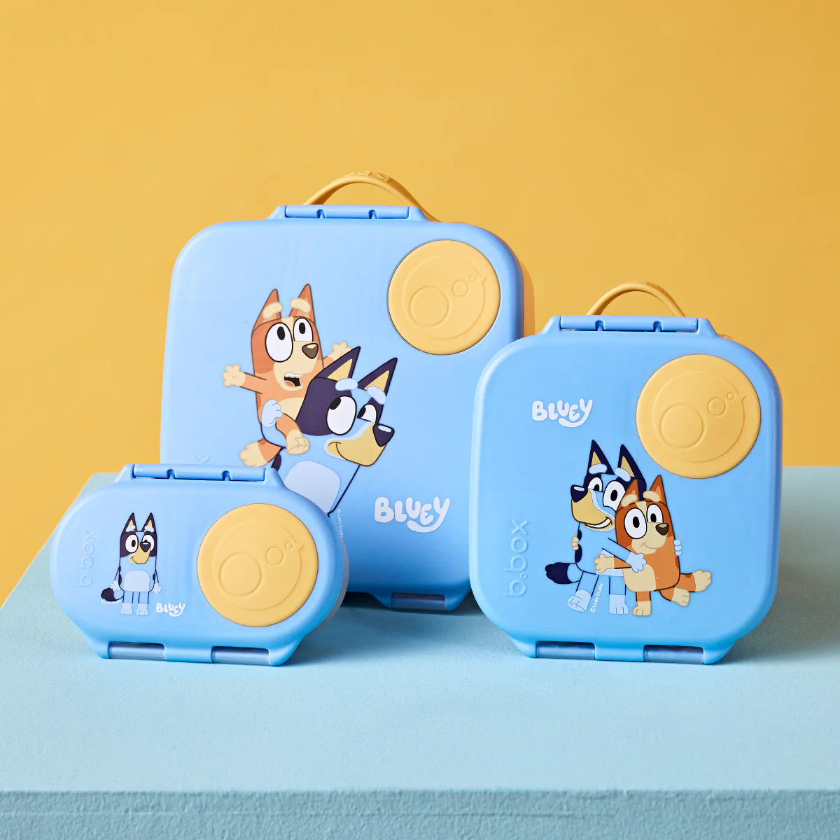 Mini Lunchbox Bluey