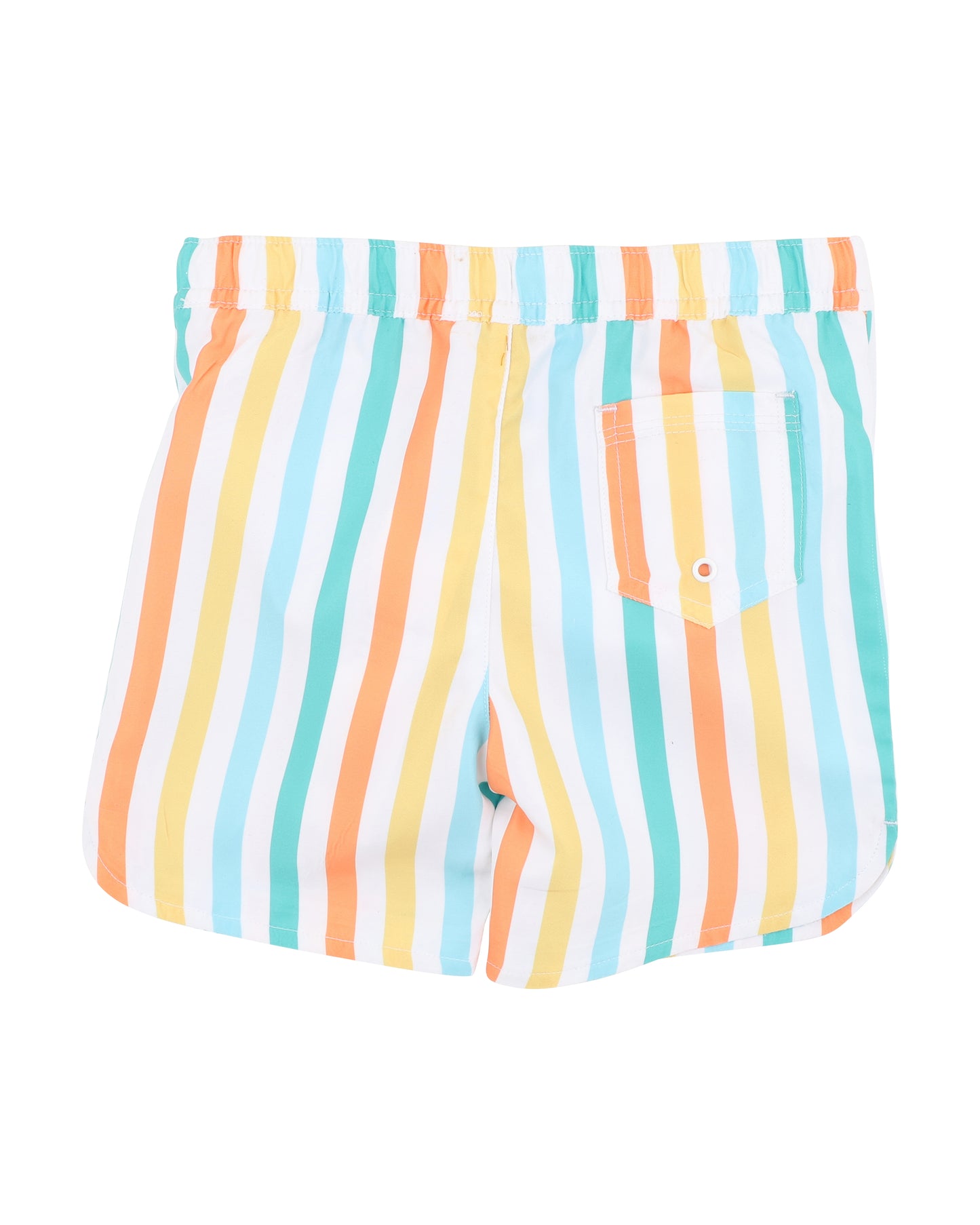 Luca Stripe Boardshorts