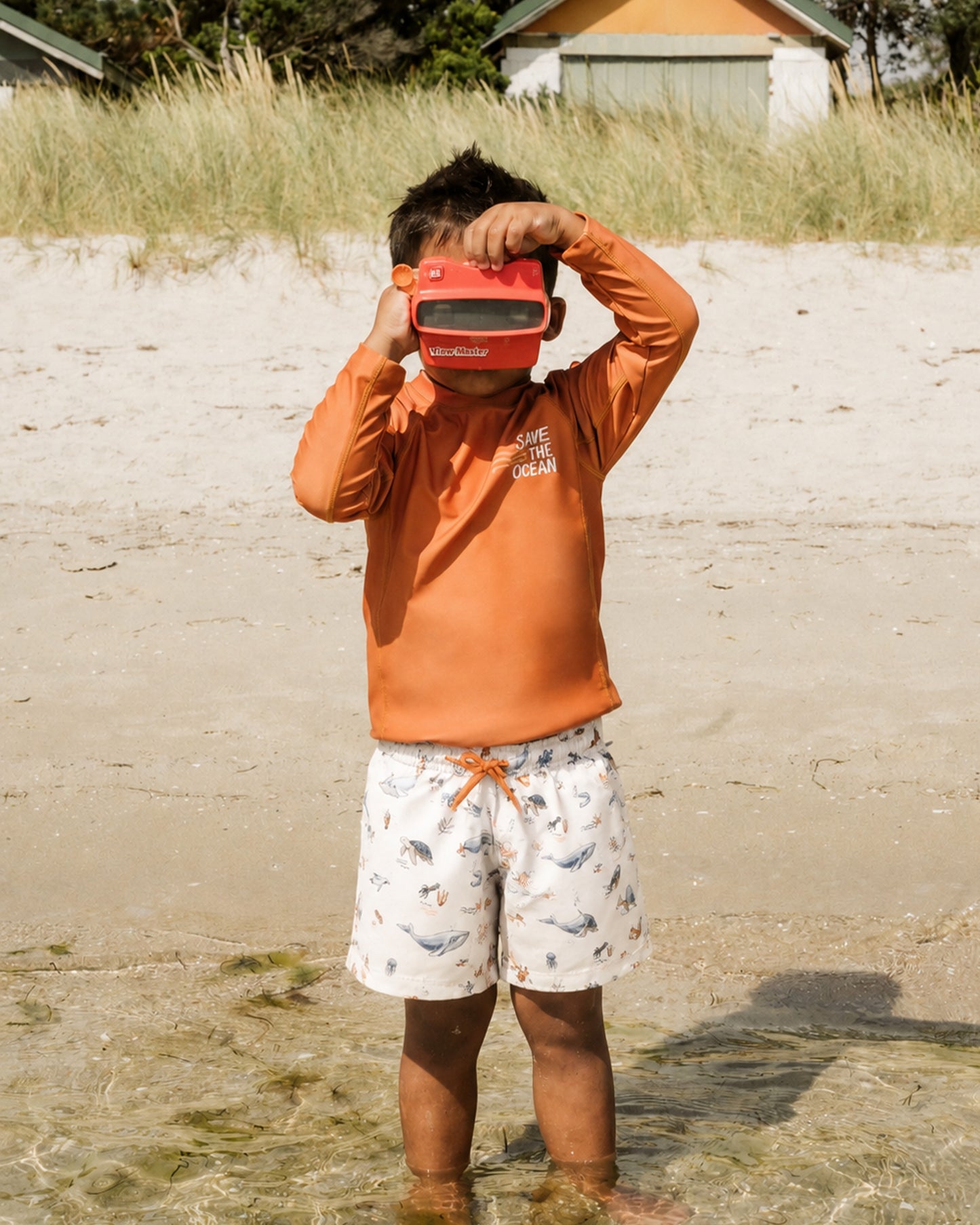 Harvey Boardshorts