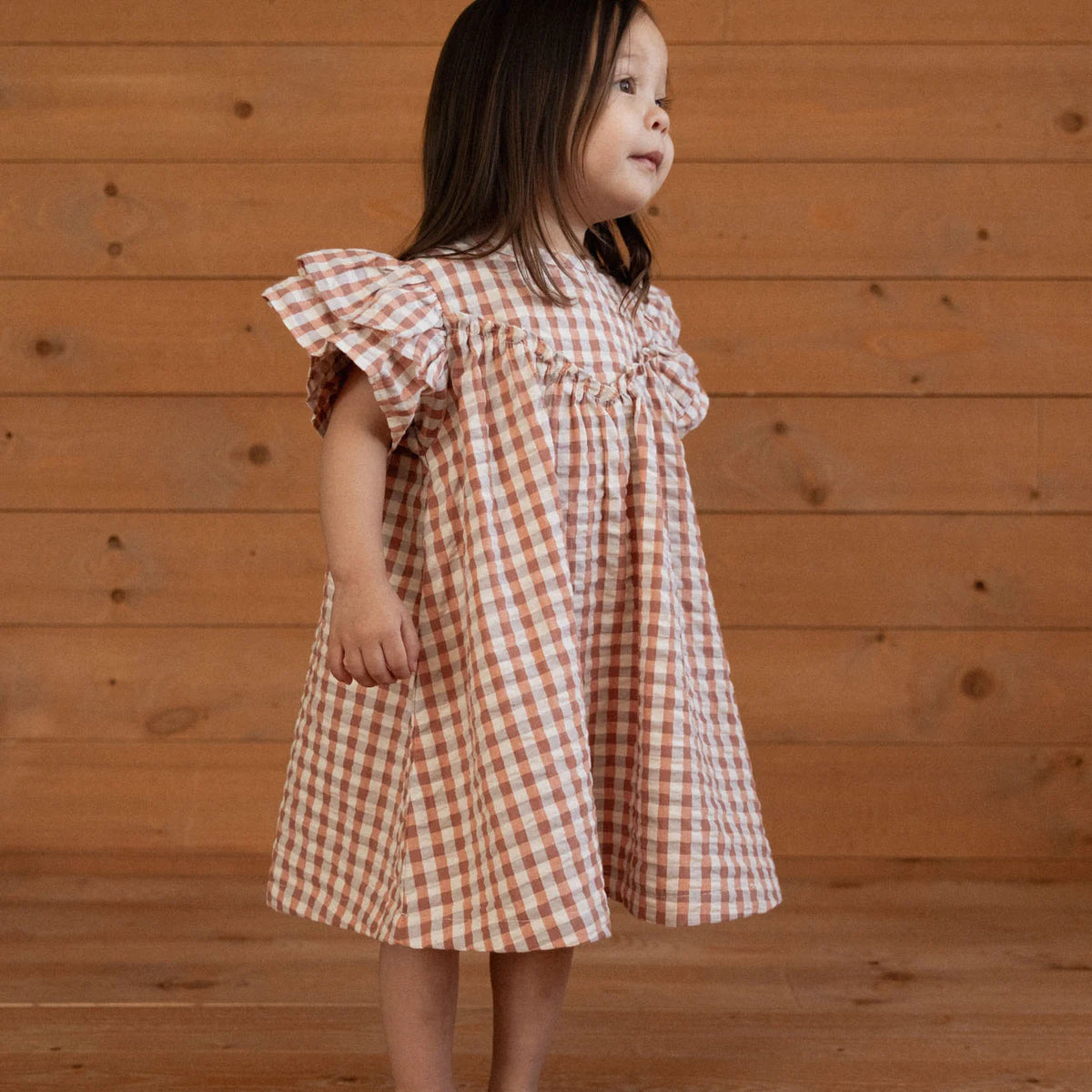 Una Dress Dandelion Gingham
